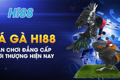 Đá gà Hi88 – Đá gà trực tuyến tại hi88a.online nhận 100k