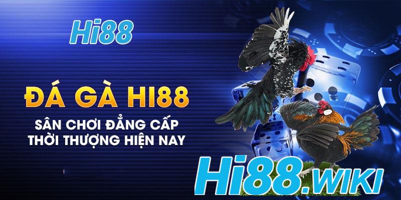 Các trận đấu Đá gà tại nhà cái Hi88 đều phát từ trường gà nổi tiếng