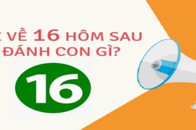 Đề về 16 hôm sau đánh lô gì để có tiền thưởng