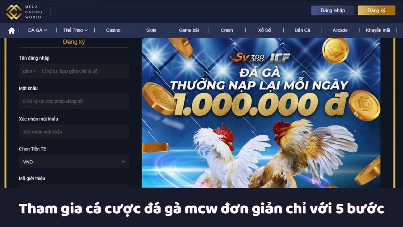 Tham gia cá cược đá gà mcw đơn giản chỉ với 5 bước