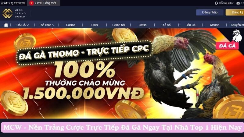 Giới thiệu về nền tảng MCW