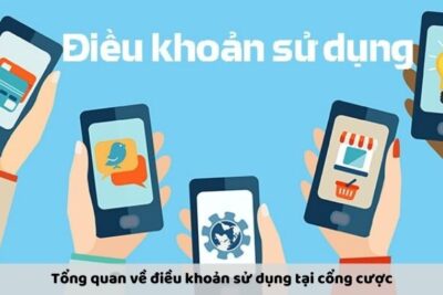 Điều Khoản Sử Dụng – Quy Định Bạn Cần Biết Khi Tham Gia Cược