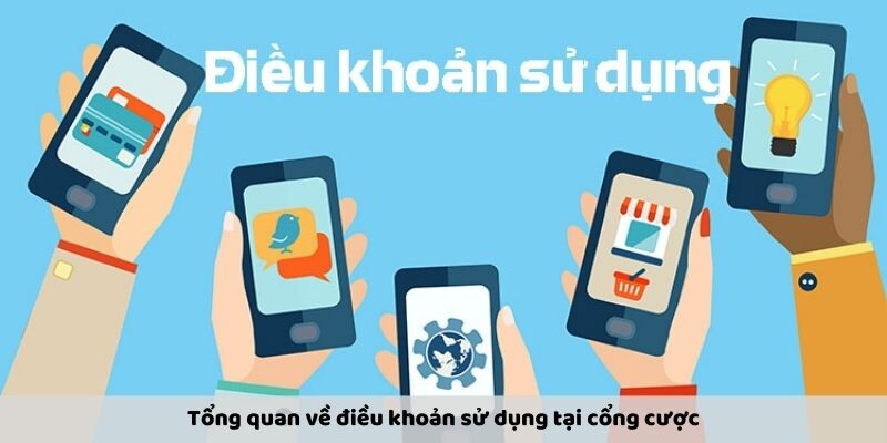 Tổng quan về điều khoản sử dụng tại cổng cược